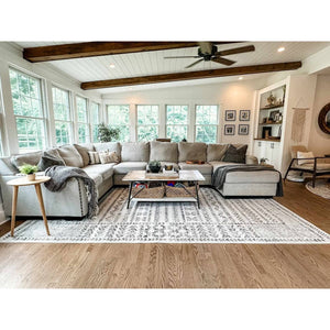 Hauteloom Greig Area Rug - 5'3